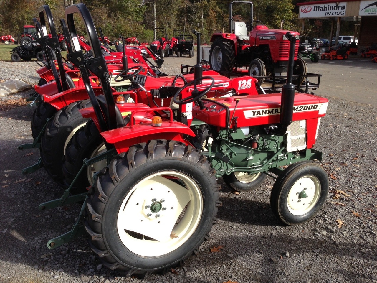 54aebd6eaf3a227d4143c6fb.jpg?