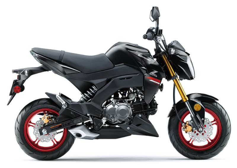 2022 Kawasaki Z125 Pro 125 PRO in Norfolk, VA