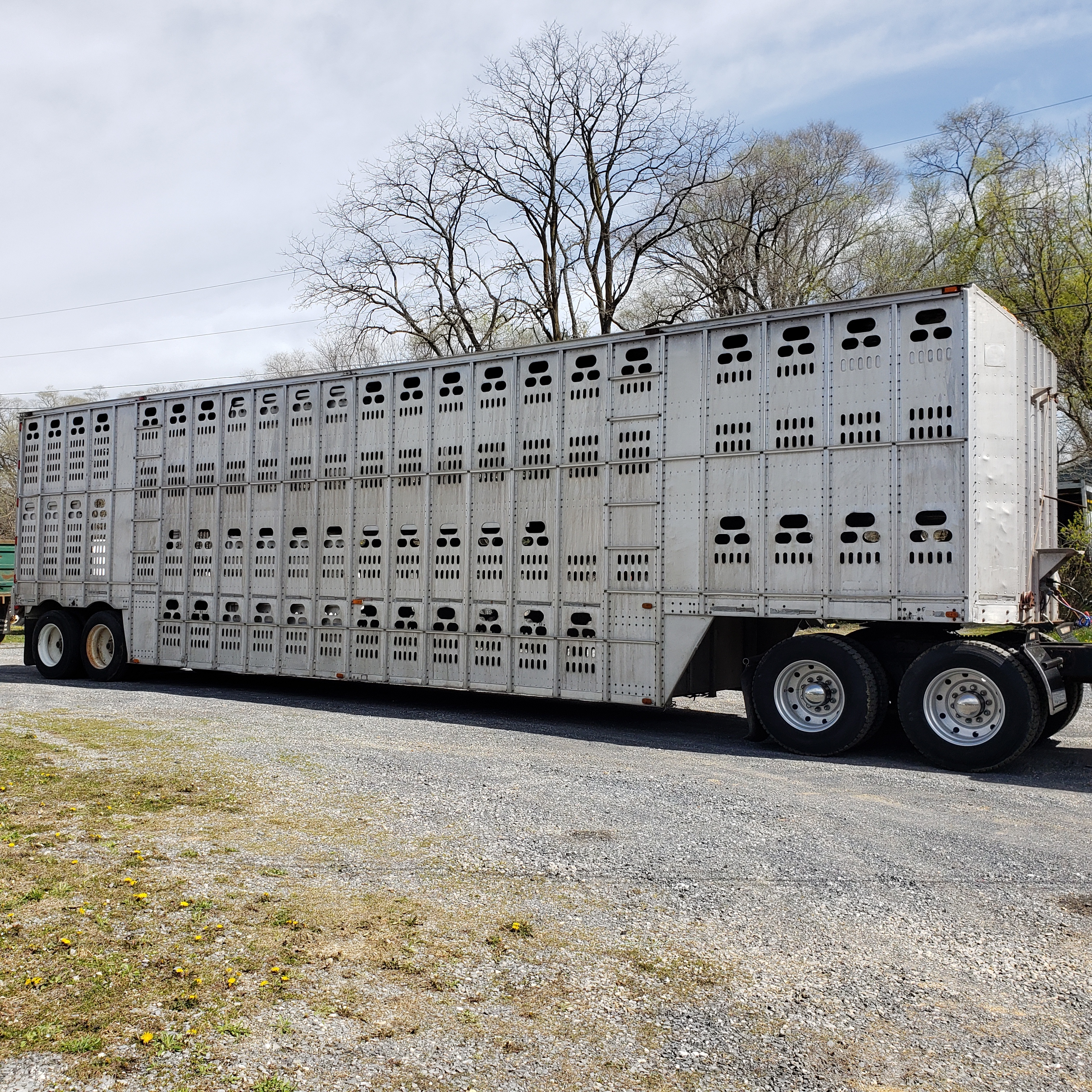 1984 BARRETT LIVESTOCK POT in Harrisonburg, VA