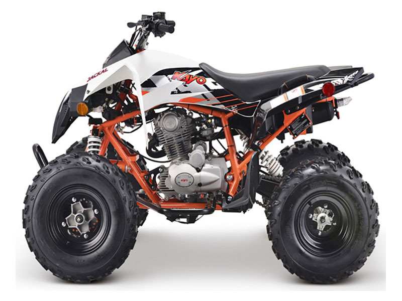 New 2022 Kayo Usa Jackal 200 For Sale in Norfolk, VA - 5024539062