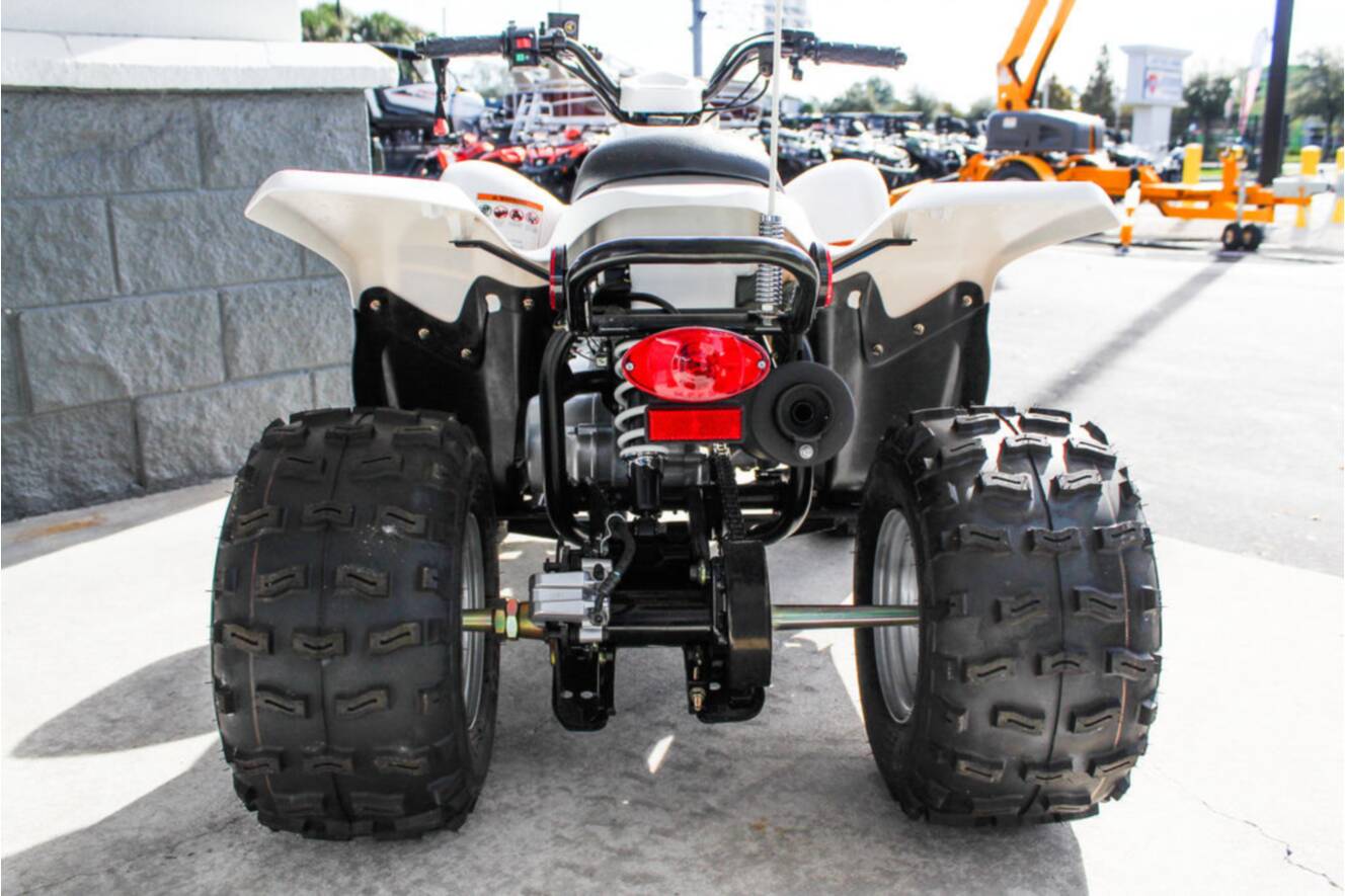 A photo of this 2022 Argo® Xplorer XC 90