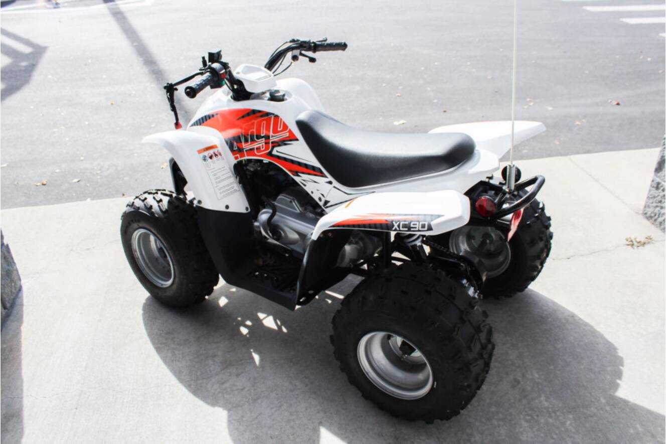 A photo of this 2022 Argo® Xplorer XC 90