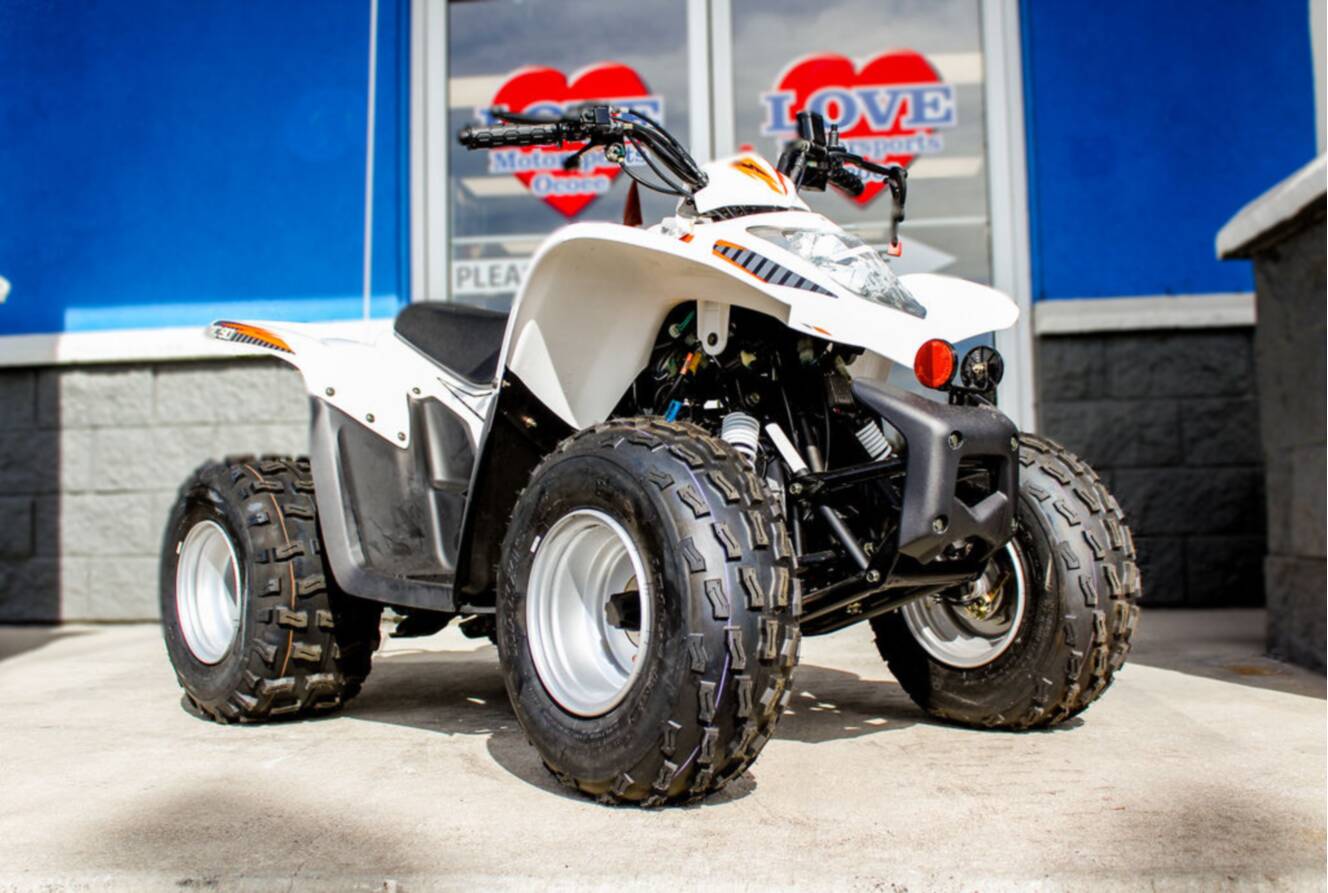 A photo of this 2022 Argo® Xplorer XC 90