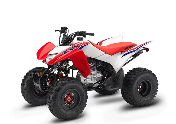 2024 Honda TRX 250X in gulf shores AL