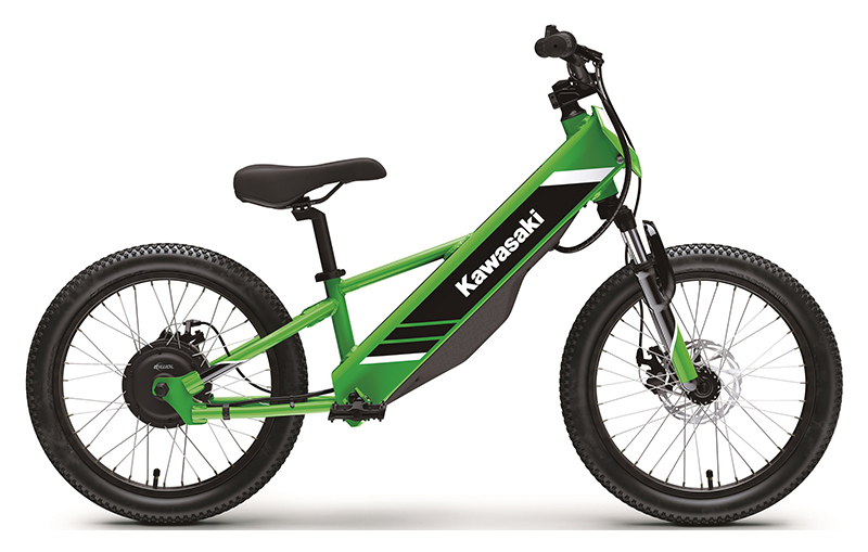 流行 Kawasaki Island Rhode in Sale For Motorcycles ZX-4RR Ninja その他