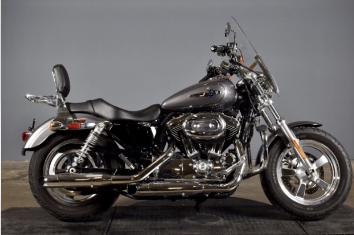 2016 Harley-Davidson SPORTSTER 1200 CUSTOM XL1200C in Accomac, VA