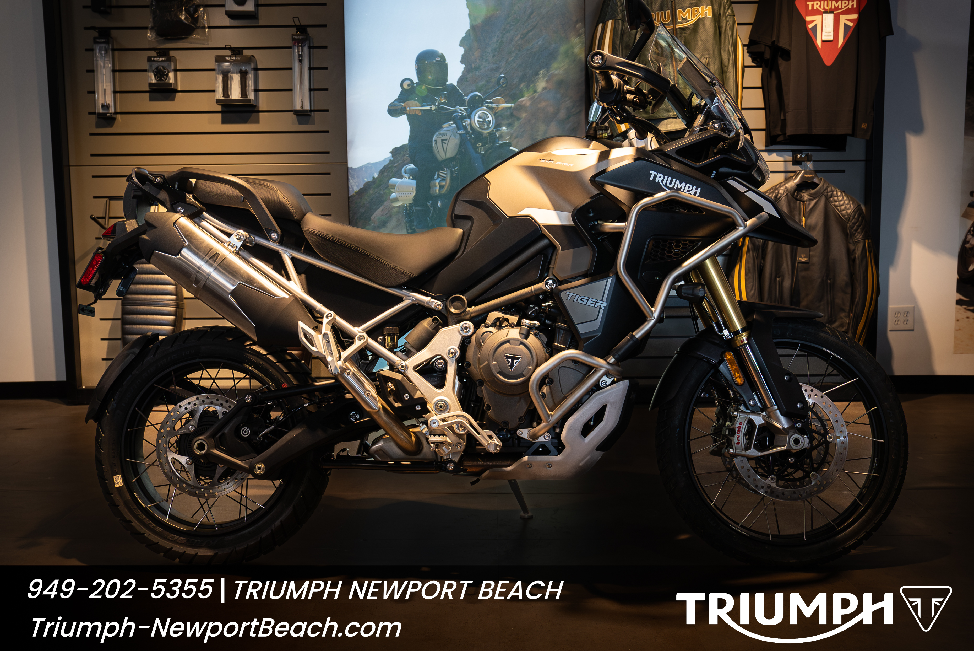 2024 Triumph TIGER 1200 RALLY EXPLORER in Costa Mesa, CA