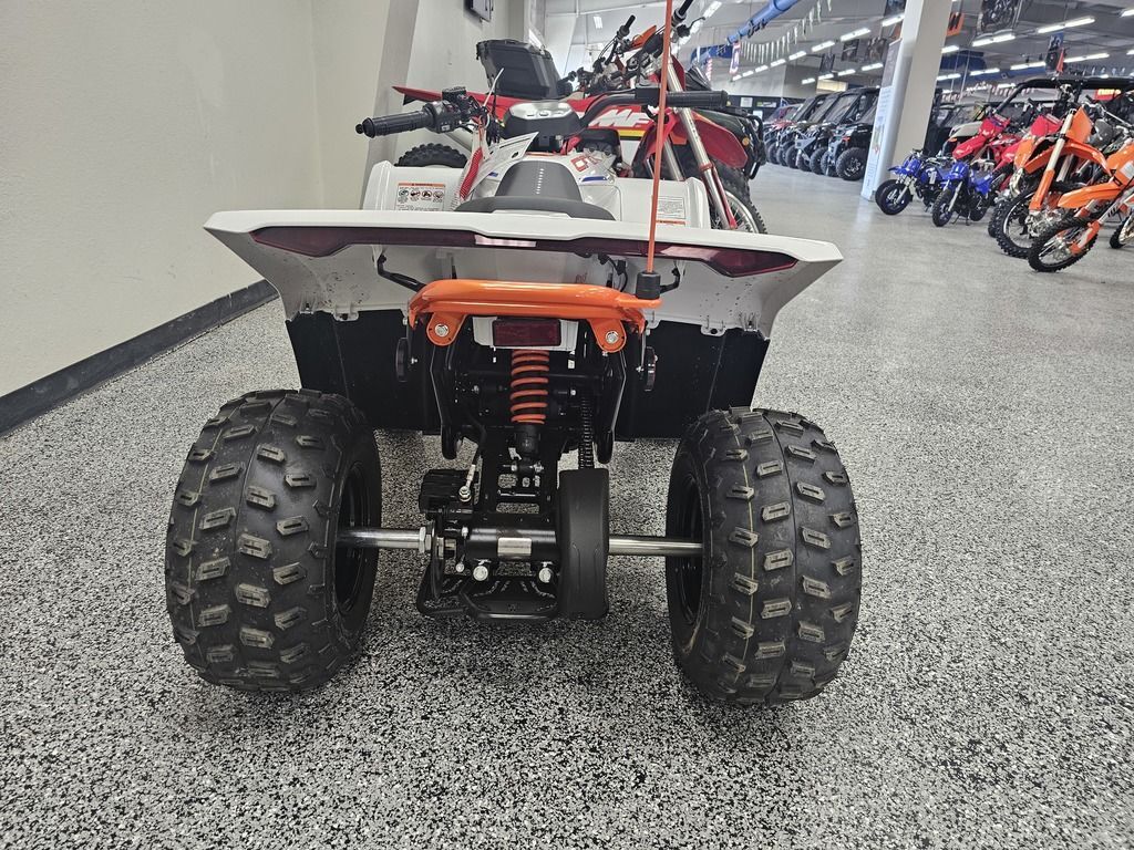 2024 CFMOTO CFORCE EV110 in casper WY