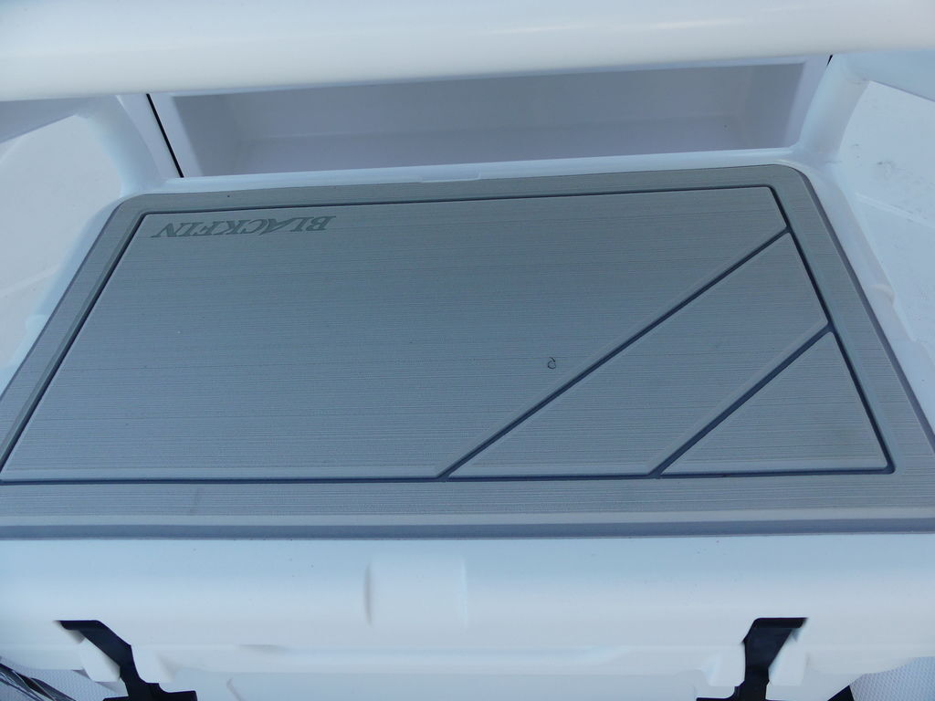 New 2025 Blackfin 222CC For Sale in Bradenton, FL 5033731301 Boatmart