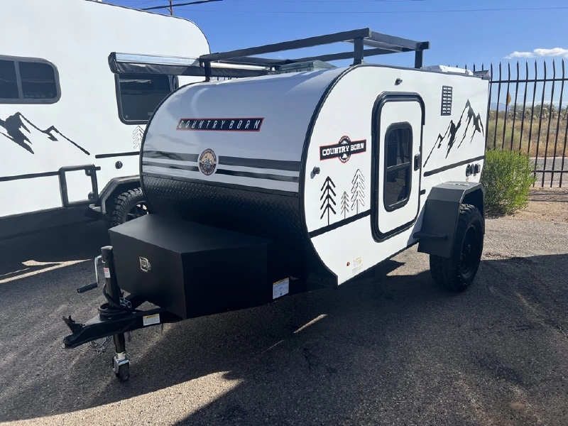 2025 MODERN BUGGY LITTLE BUGGY 10RK