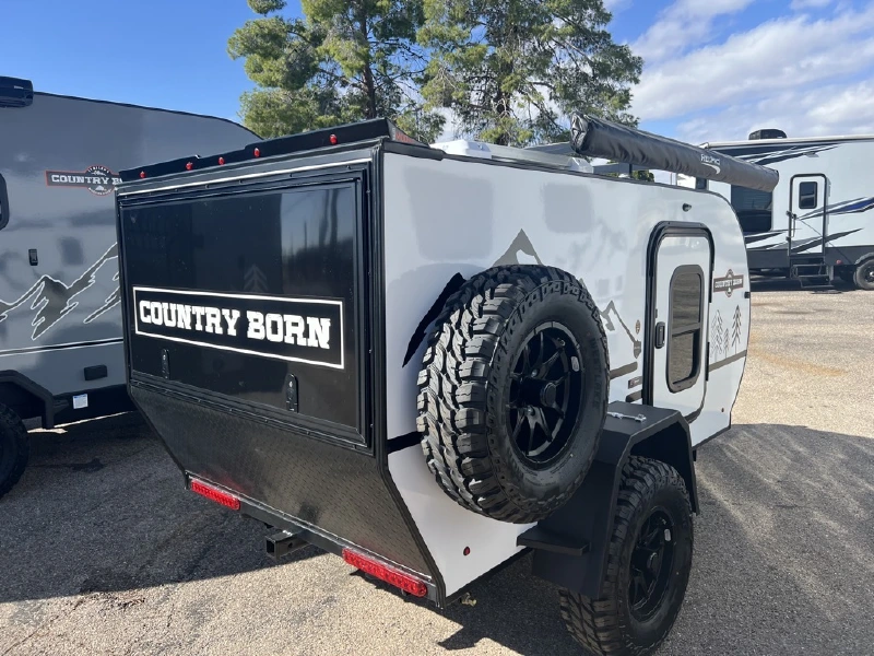 2025 MODERN BUGGY LITTLE BUGGY 10RK