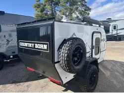 2025 MODERN BUGGY LITTLE BUGGY 10RK
