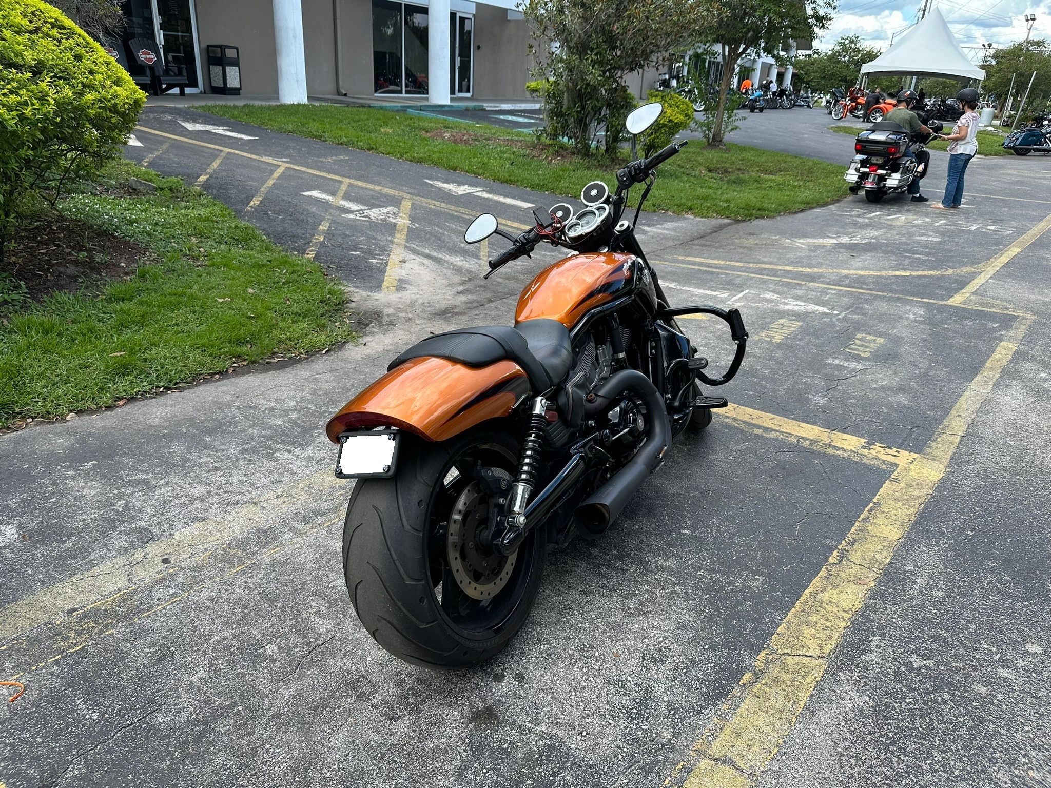 2014 Harley-Davidson V-ROD MUSCLE in lakeland FL