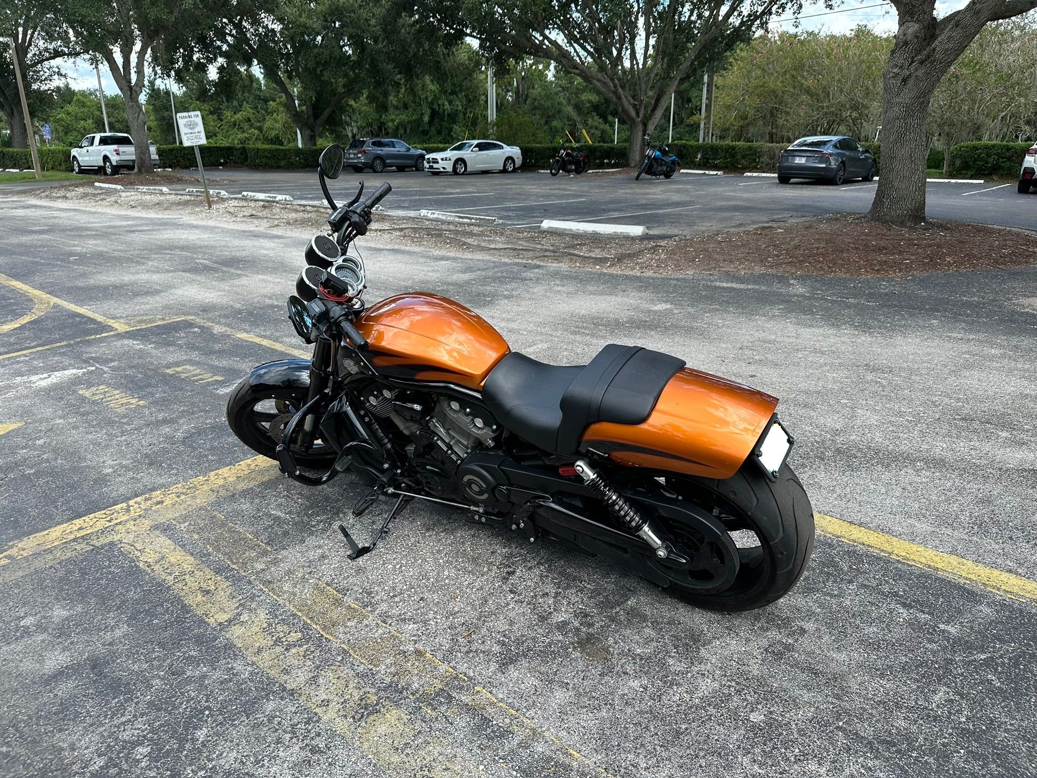 2014 Harley-Davidson V-ROD MUSCLE in lakeland FL
