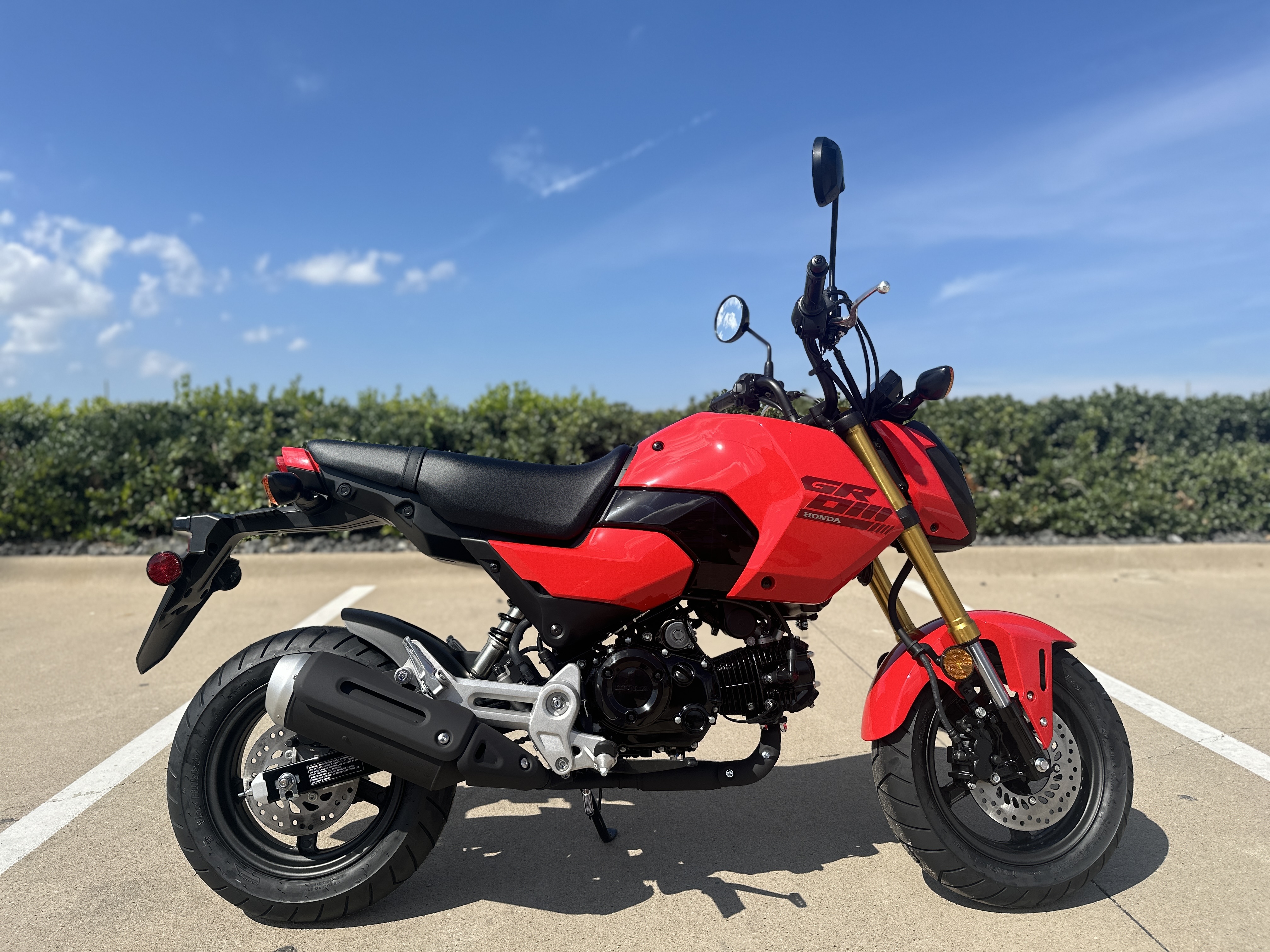 2025 Honda GROM 125 125 in Dallas, TX