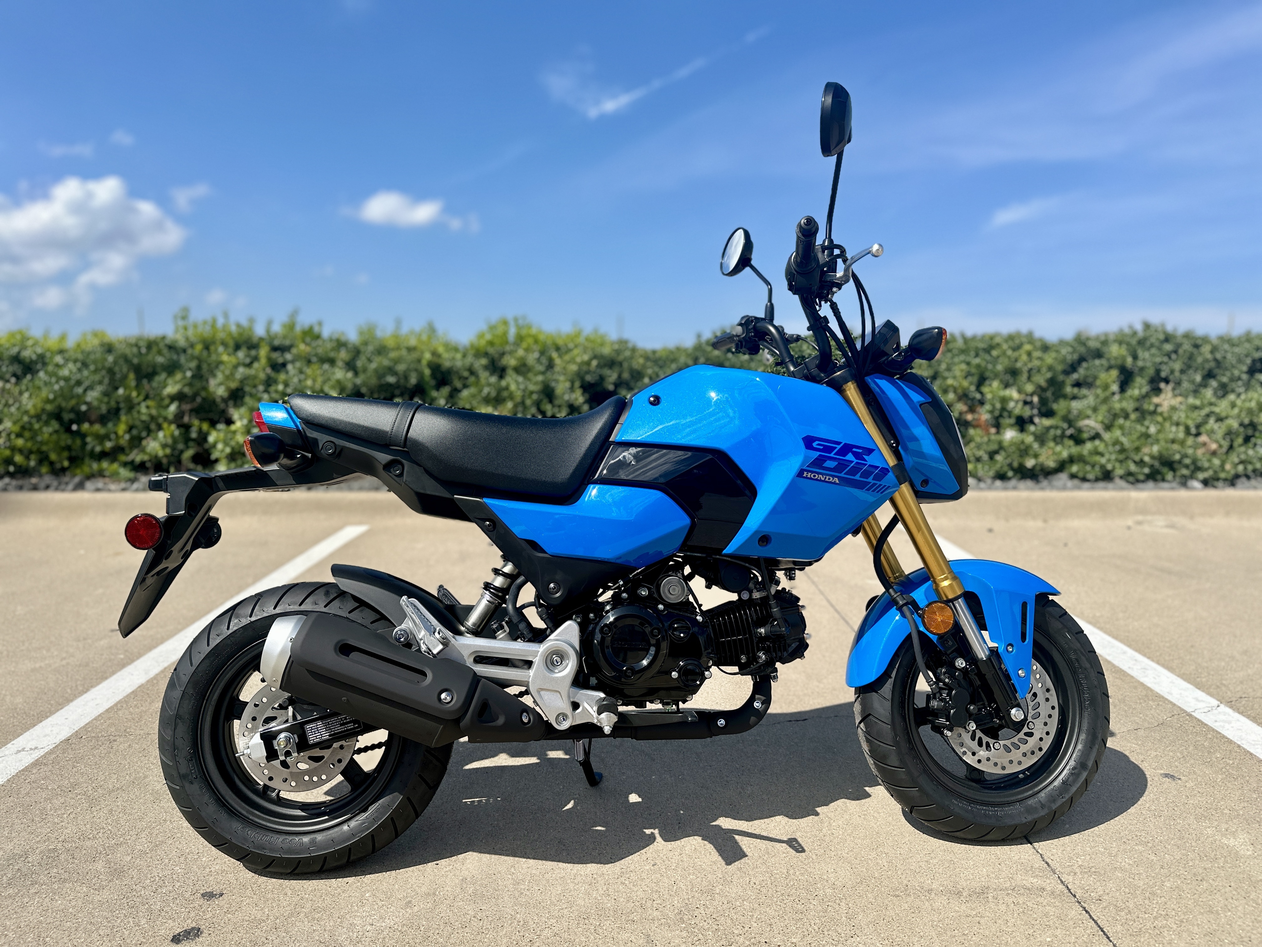 2025 Honda GROM 125 125 in Dallas, TX