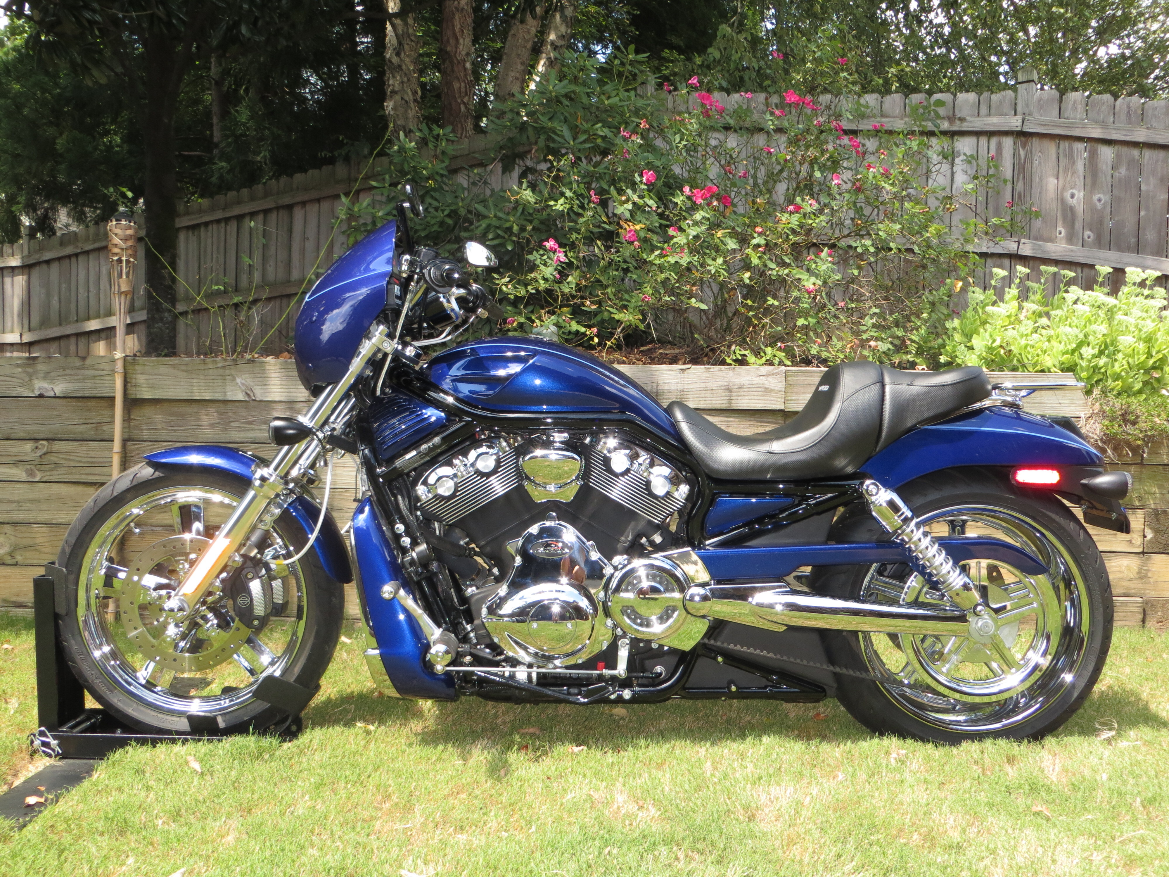Blue Harley-Davidson Night Rod Motorcycles For Sale - Cycle