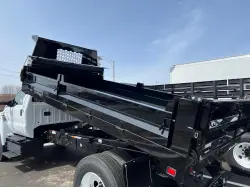2025 FORD F650