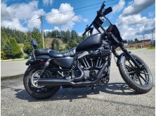 Motorcycle Profile of the Month: Harley-Davidson Sportster image