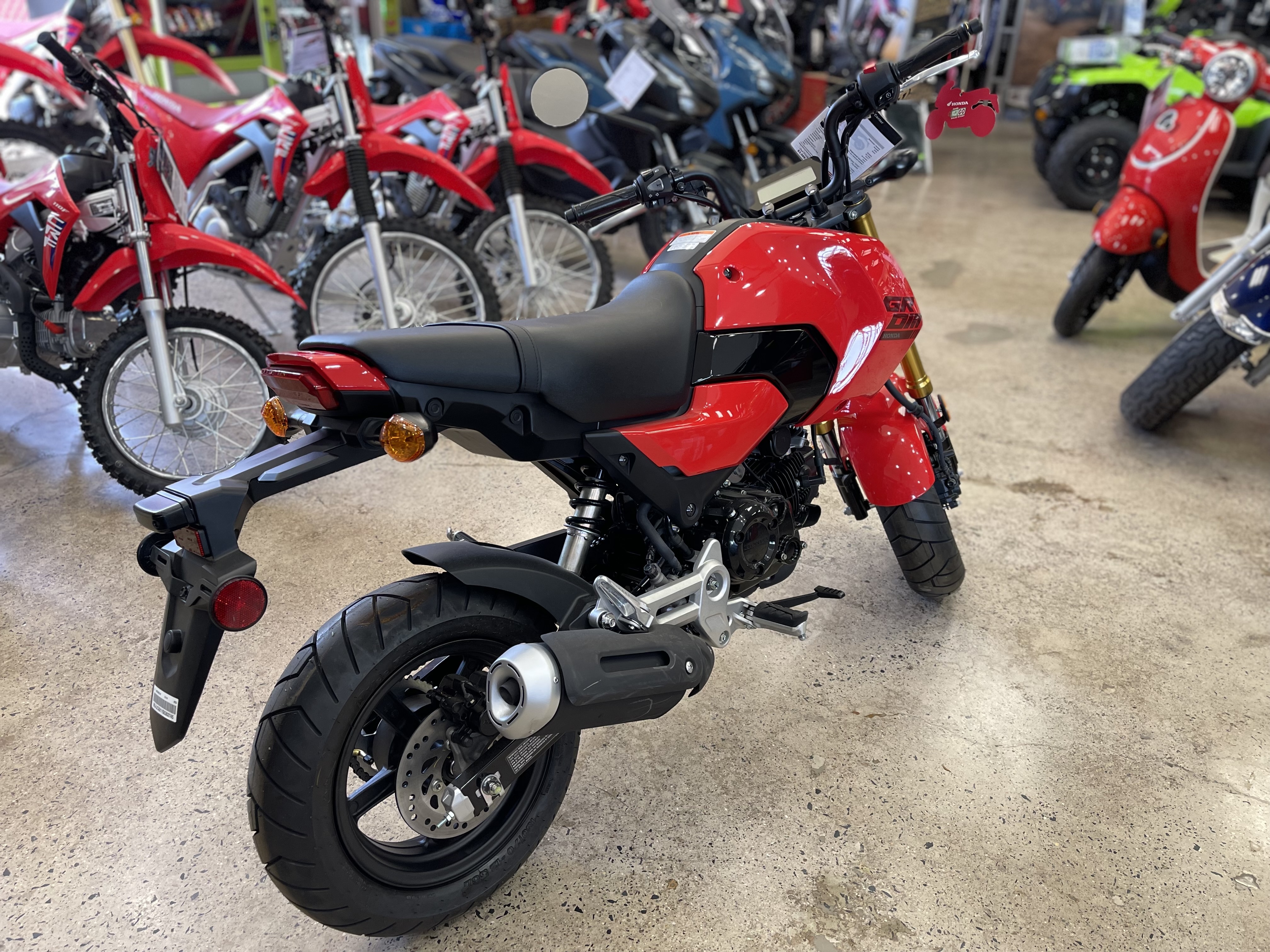 2025 Honda Grom in Bensalem, PA