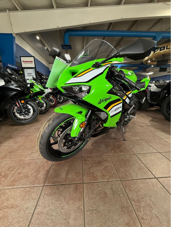 独特の上品 Lime NM Gladstone, Near Sale For Motorcycles Standard Green 絵画