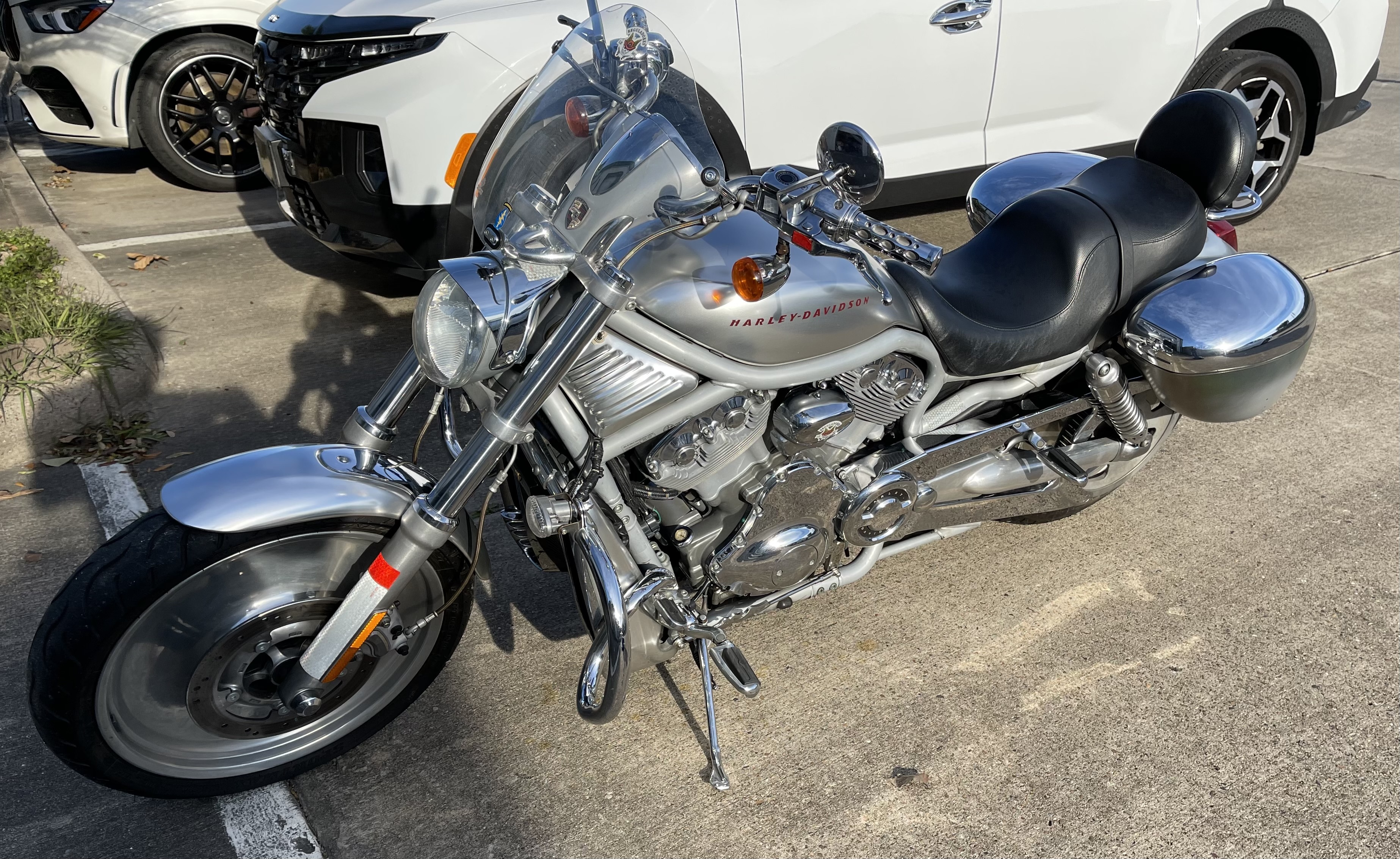 2002 Harley-Davidson V-Rod ANNIVERSARY EDITION in league city TX