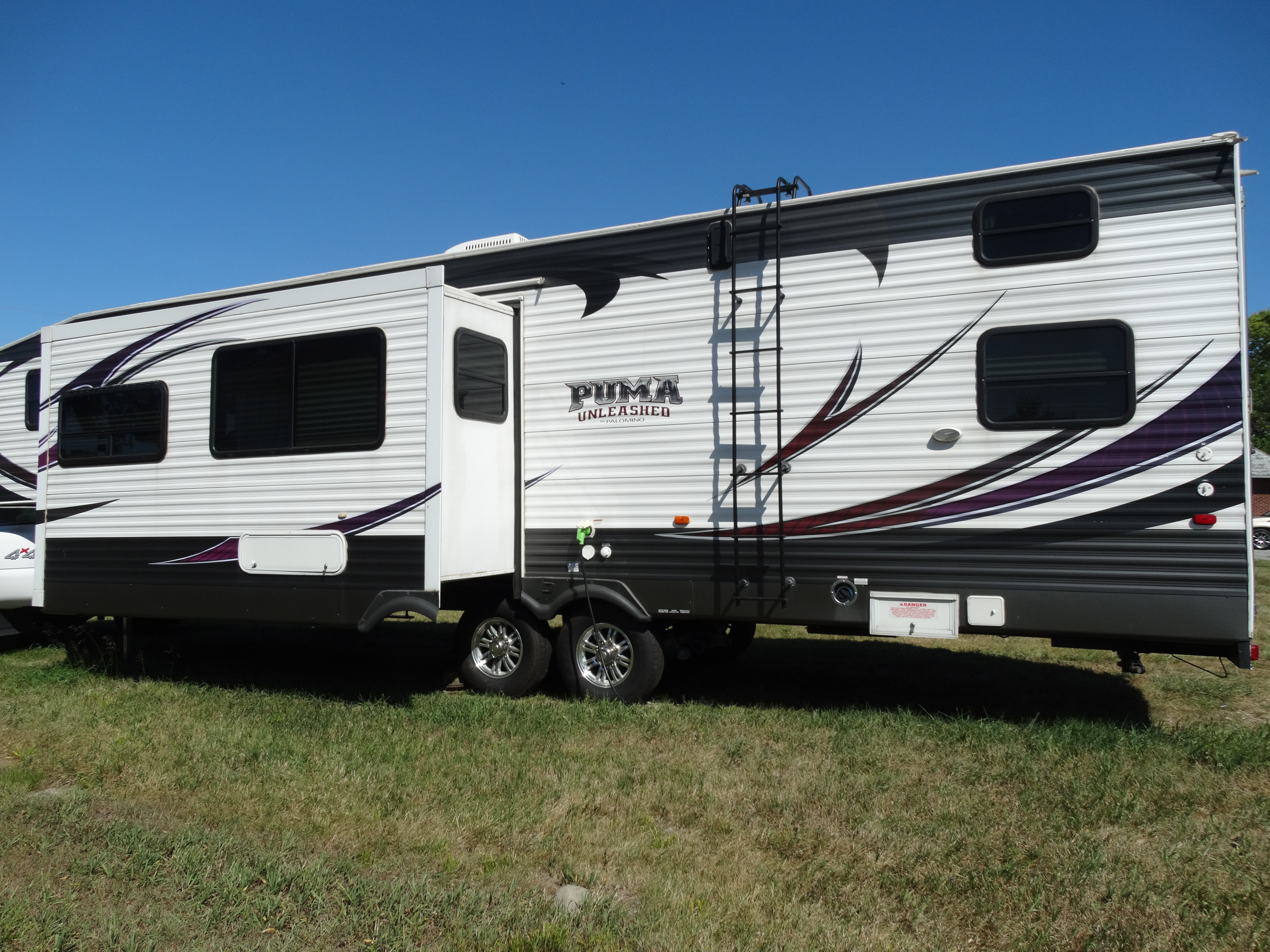まっくす 351-THSS Puma Unleashed For Sale Near 49686 - Palomino Toy