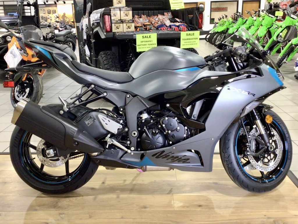 PLEASURE プレジャー バイザーリフトプレート ZRX1200DAEG