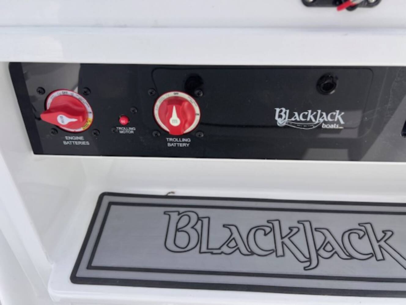 A photo of this 2026 Blackjack 256 COASTAL