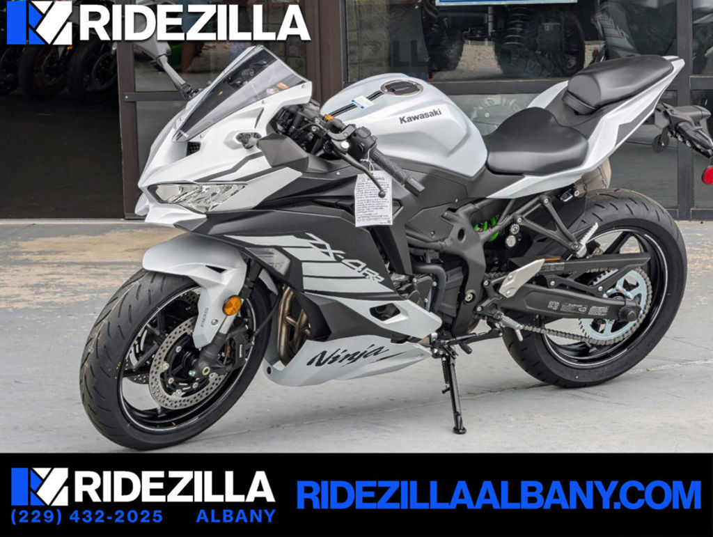 『TEN H.S SILVER×石 10』 2018 Kawasaki Ninja ZX10R ABS Metallic Matte Fusion Silver