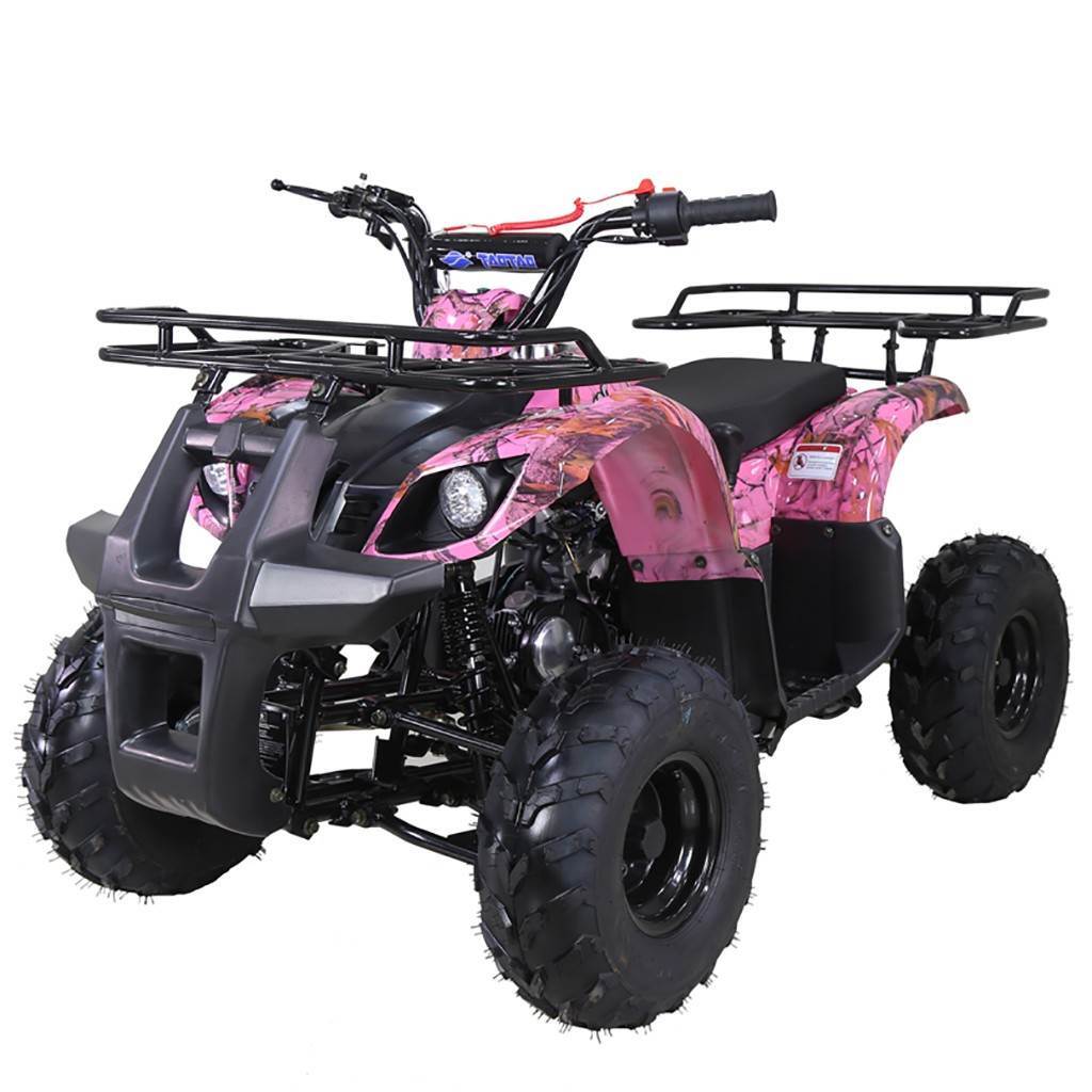 2020 Tao Motor D125 BASE in howell MI