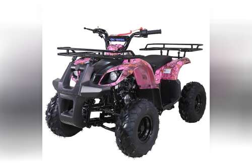 2020 Tao Motor D125 BASE in howell MI