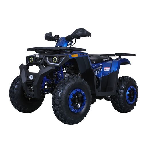 2021 Tao Motor SPORTXX in howell MI