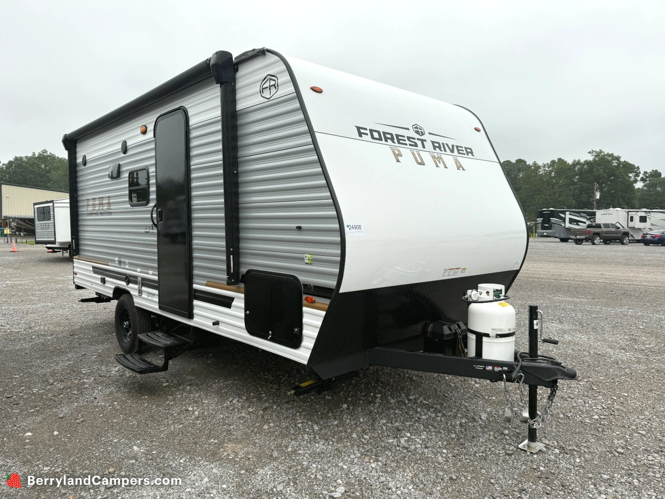2026 Palomino