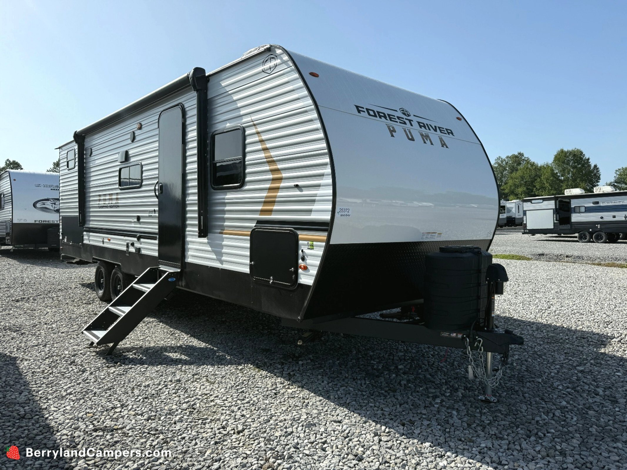 2026 Palomino