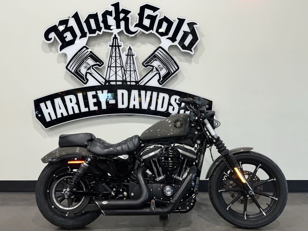 Gray 2019 Harley-Davidson Sportster Motorcycles For Sale