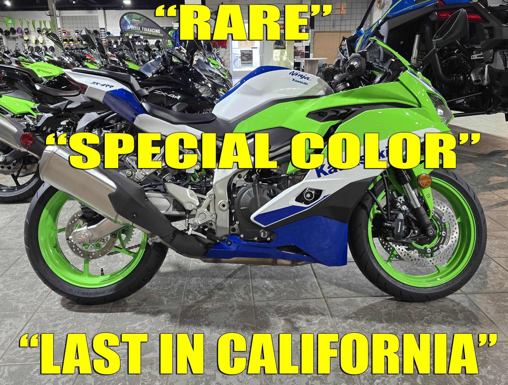 SALEちゃん 2024 Kawasaki Ninja ZX-4RR Motorcycles For Sale - Cycle Trader