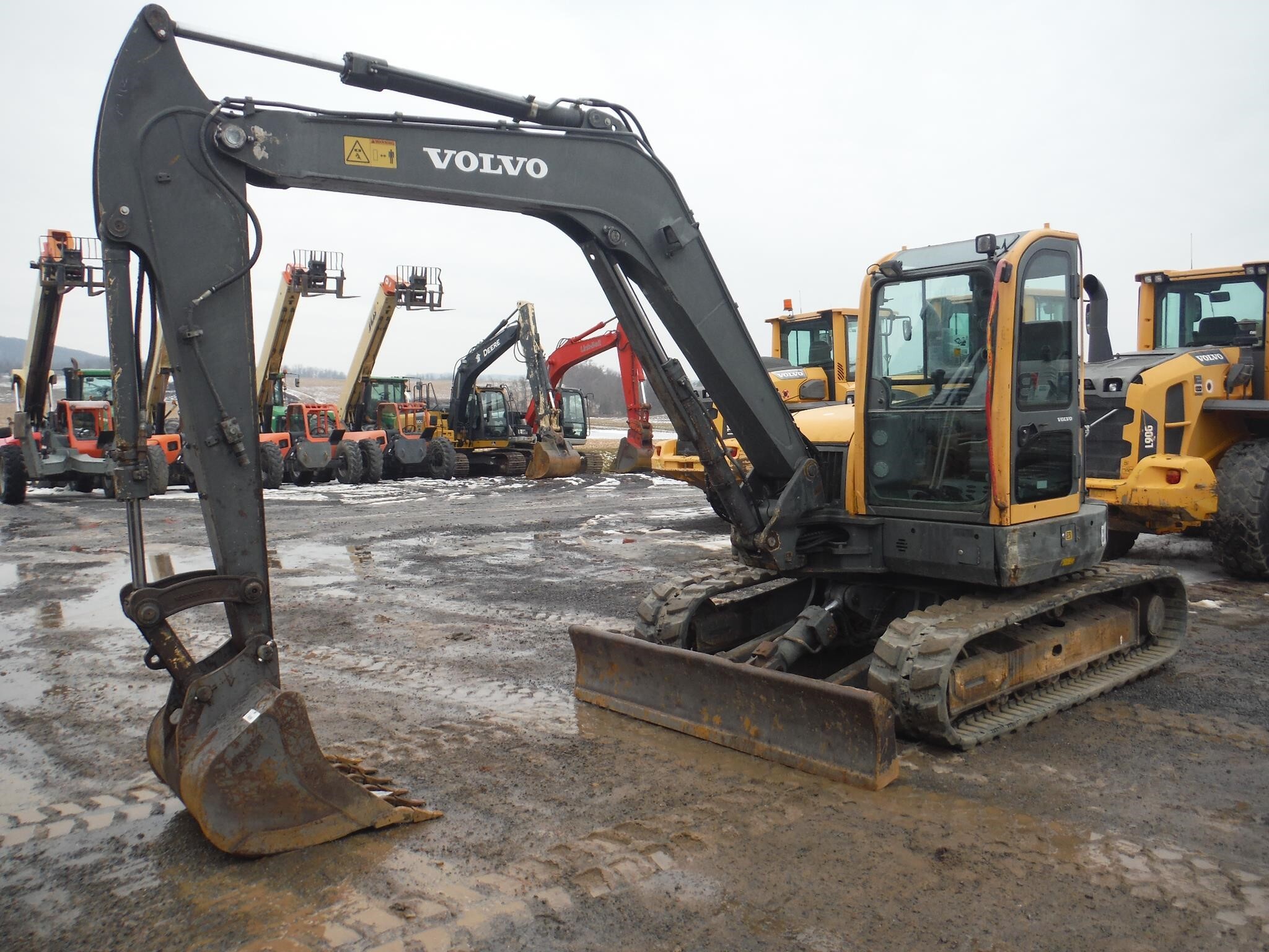 VOLVO　プンゲンストウヒ　モンタナ松　矮性　レア品種　cedrus 苗 BAUMA GMBH Volvo ECR 88D testrun - YouTube
