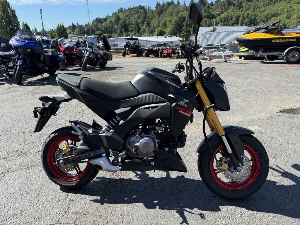 Blue 2021 Kawasaki Ninja Motorcycles For Sale - Cycle Trader