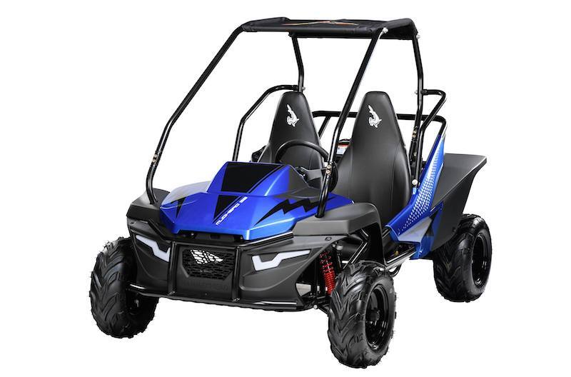 その他 NEIGHBORHOOD - NH . ODE / P-BUGGY  NEIGHBORHOOD  BUGGY NEIGHBORHOOD NH . ODE / P-BUGGY ネイバーフッド