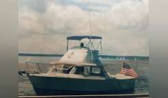 1973 Bertram 31 Flybridge Boat boat