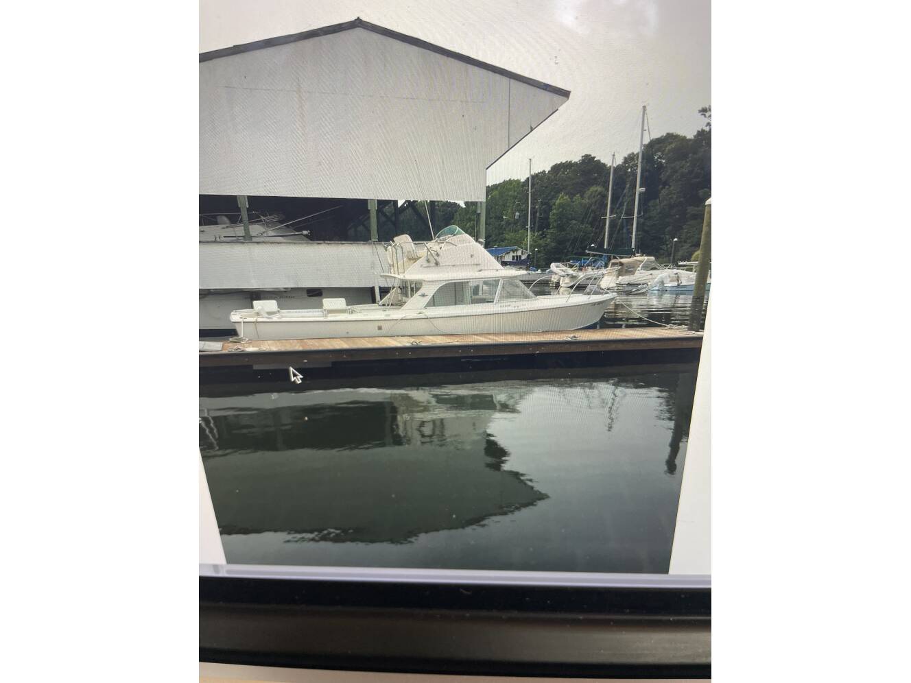 A photo of this 1973 Bertram 31