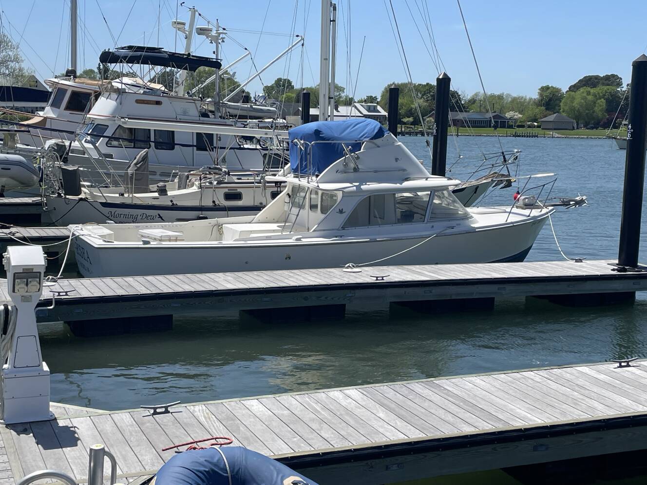 A photo of this 1973 Bertram 31