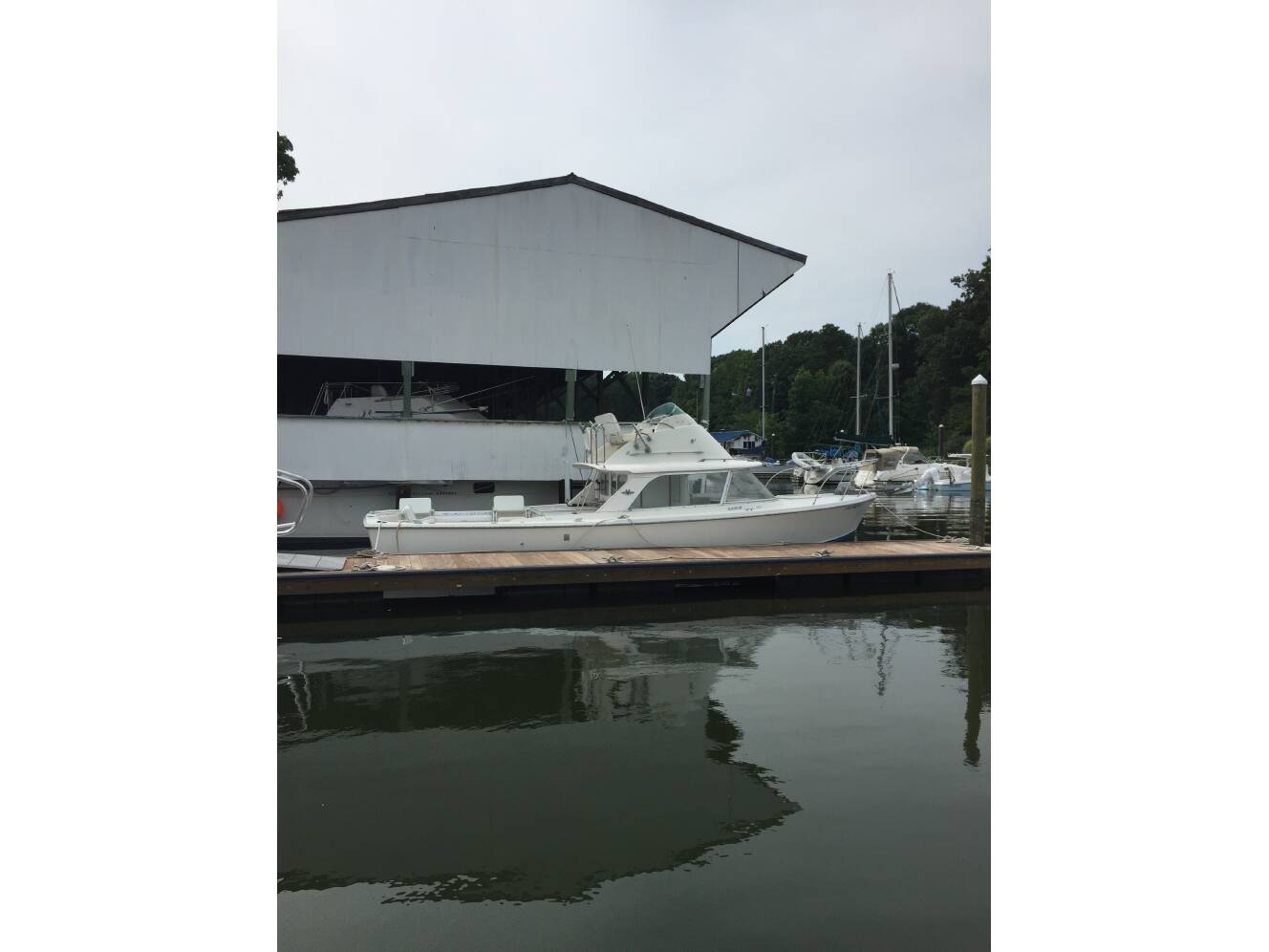 A photo of this 1973 Bertram 31
