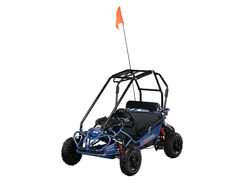 Dune Buggies For Sale in New York - ATV Trader