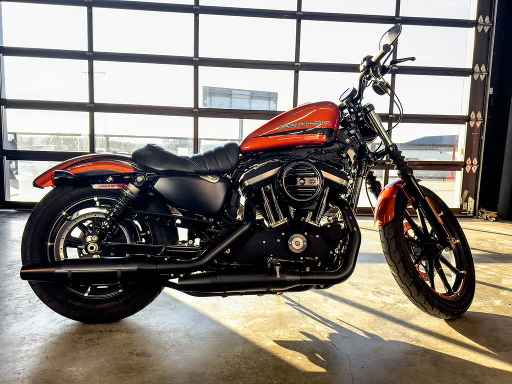 Orange Harley-Davidson Sportster 883 Motorcycles For Sale