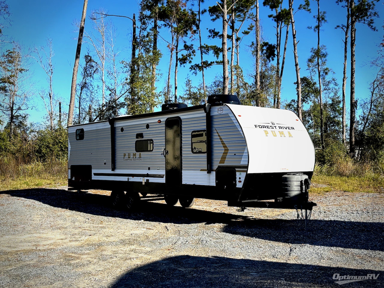 2025 Palomino