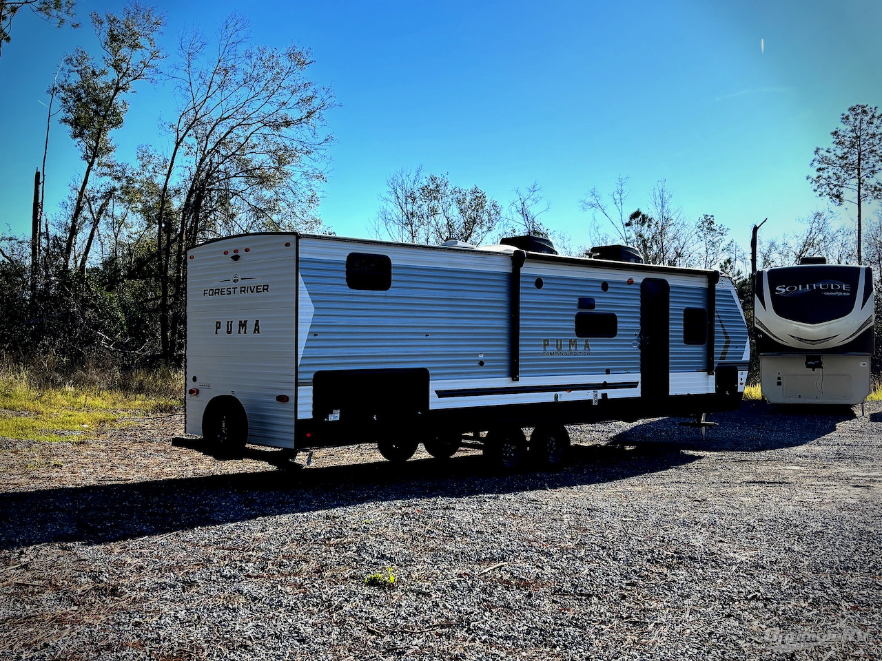 2025 Palomino