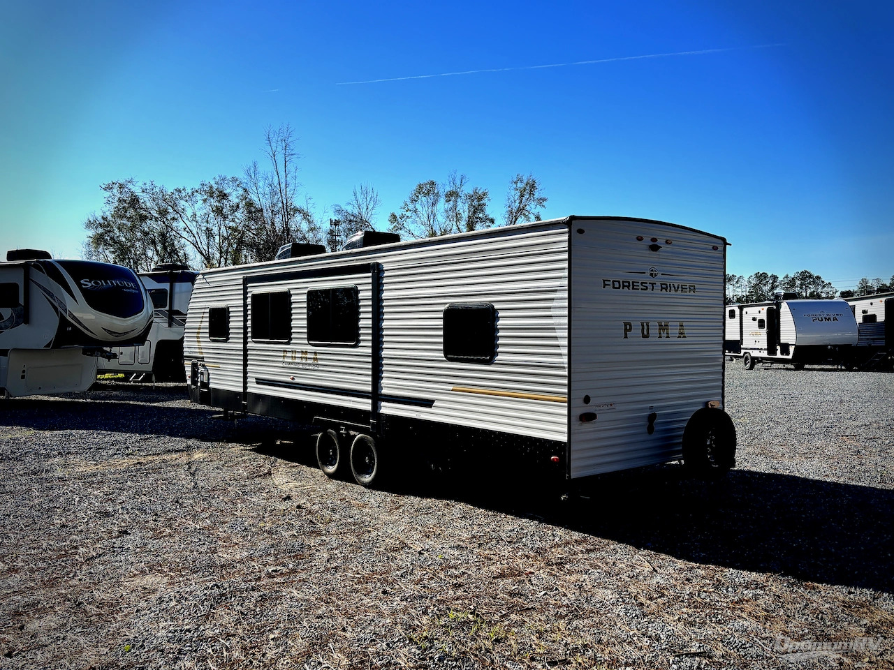 2025 Palomino