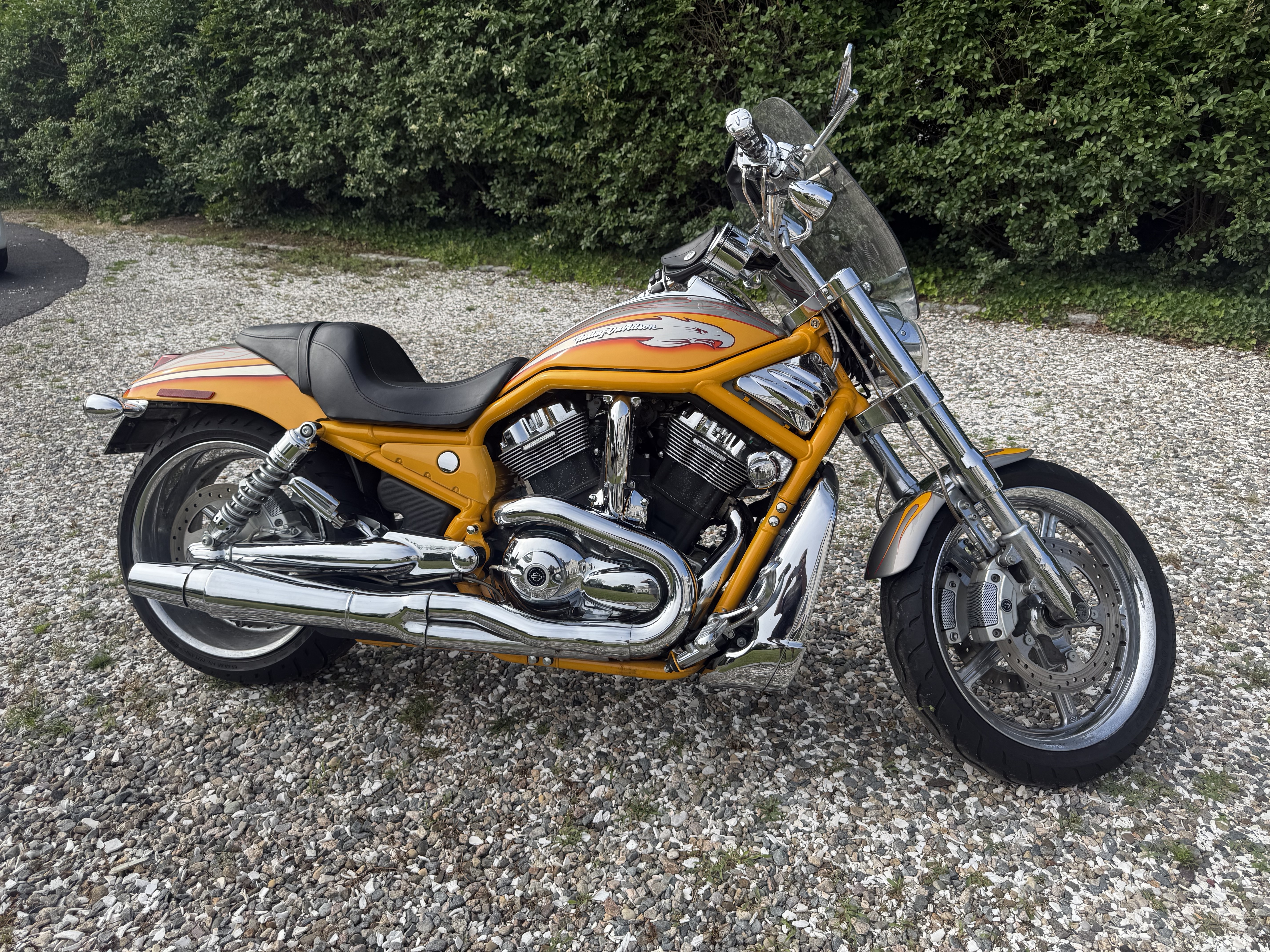 Harley-Davidson V-Rod Motorcycles For Sale - Cycle Trader